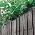 Inspecting a Damaged Fence