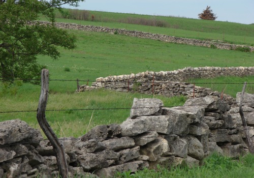 Natural Stone Fencing: A Comprehensive Overview